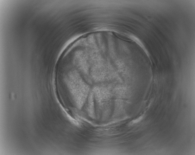 X0000062131149200512231431