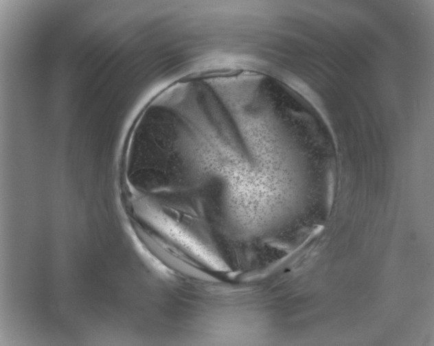 X0000062131152200512231431