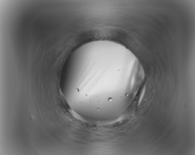 X0000062131153200512231430