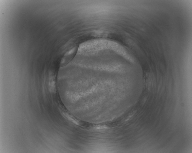 X0000062131154200512231430