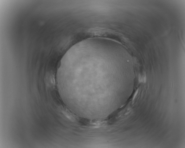 X0000062131155200512231430