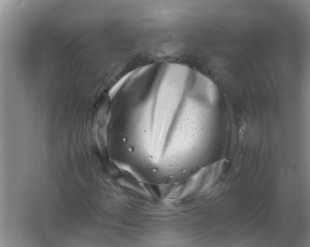 X0000062131156200512231430