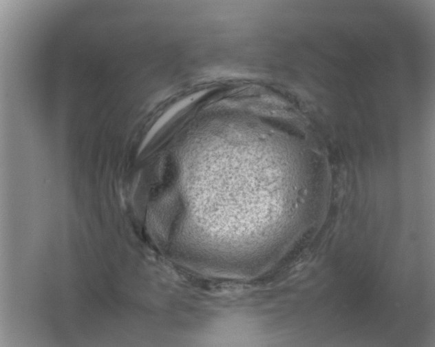 X0000062131157200512231430