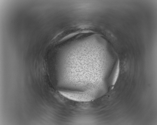 X0000062131158200512231430