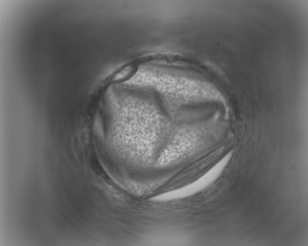 X0000062131159200512231430