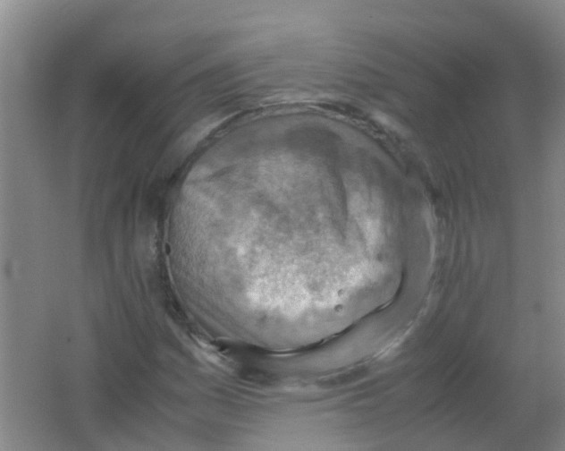 X0000062131161200512231430