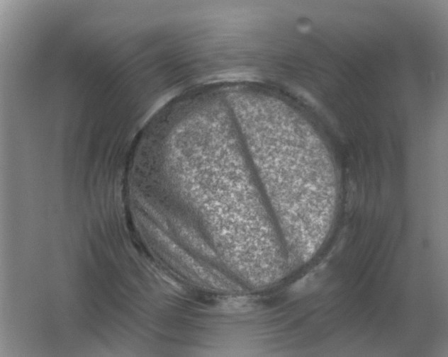 X0000062131162200512231430