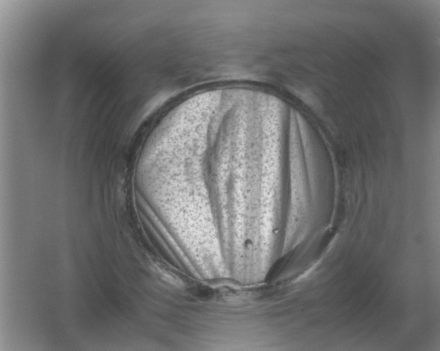 X0000062131163200512231430