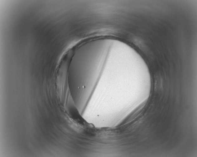 X0000062131164200512231430