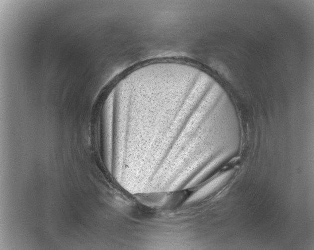 X0000062131165200512231430