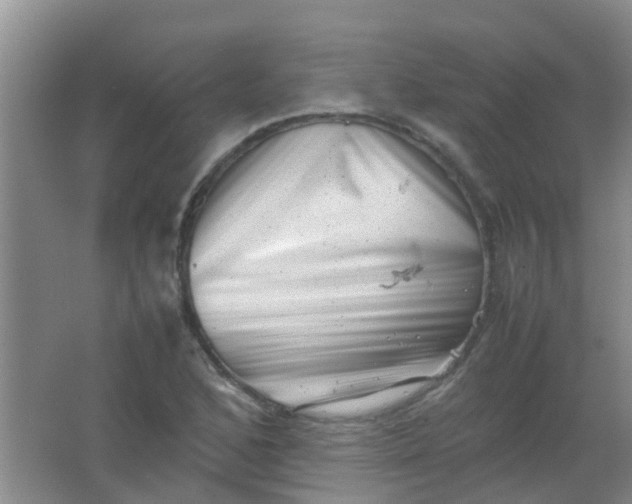 X0000062131168200512231430