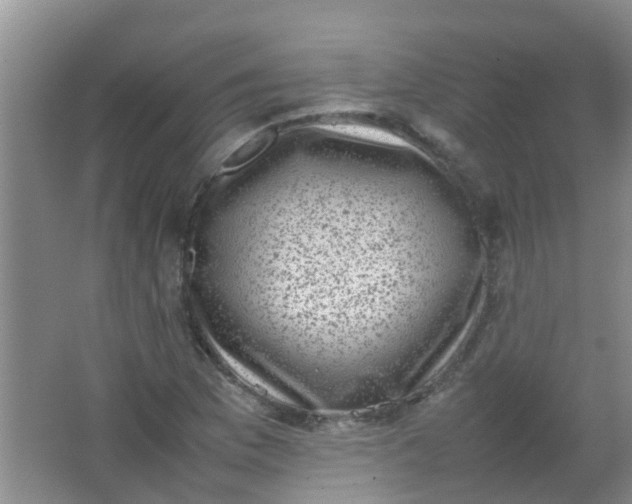 X0000062131169200512231430