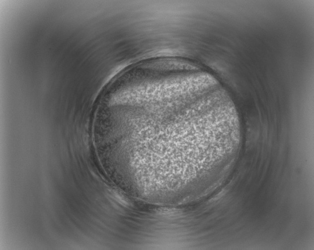 X0000062131170200512231430