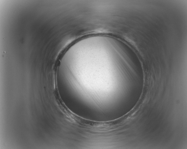 X0000062131171200512231430