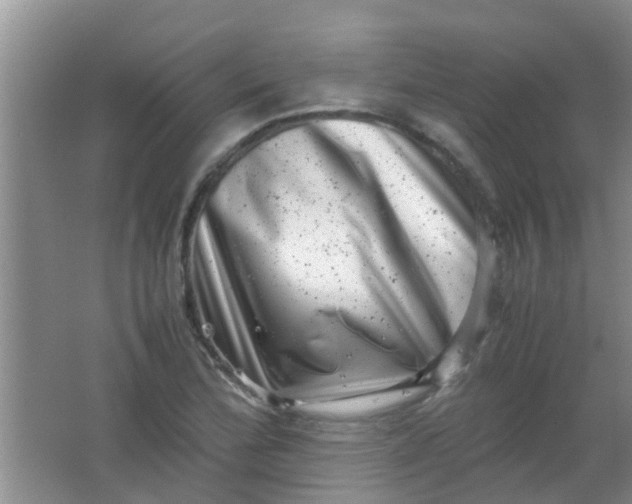 X0000062131172200512231430