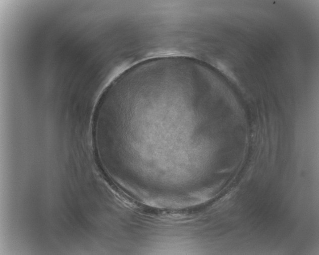 X0000062131173200512231430