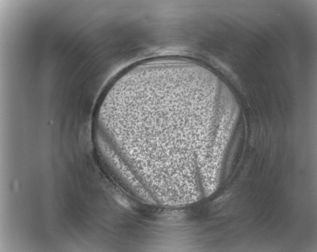 X0000062131174200512231430