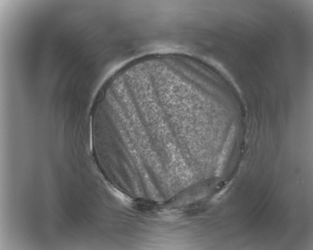 X0000062131175200512231430