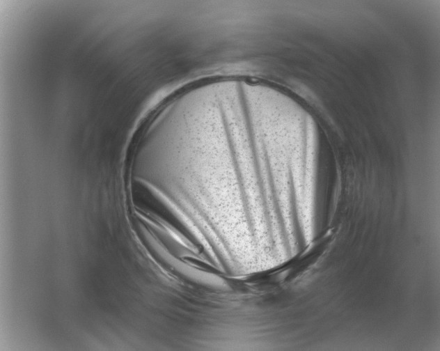 X0000062131176200512231430