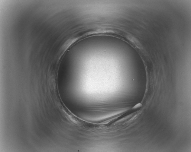 X0000062131177200512231430