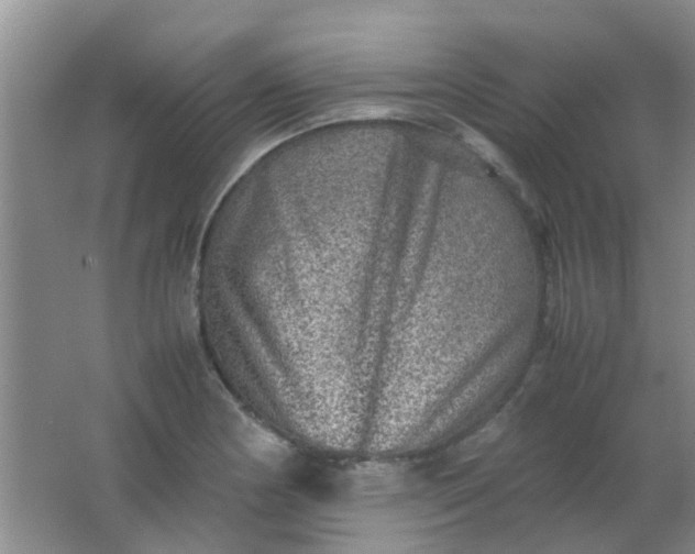 X0000062131178200512231430