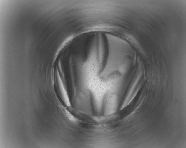 X0000062131180200512231430