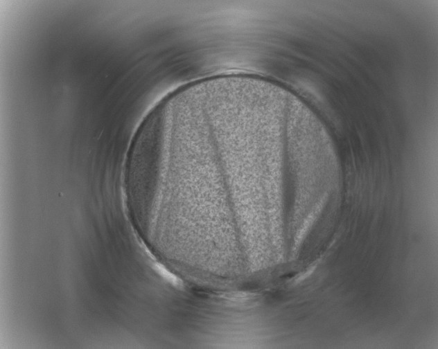 X0000062131182200512231430