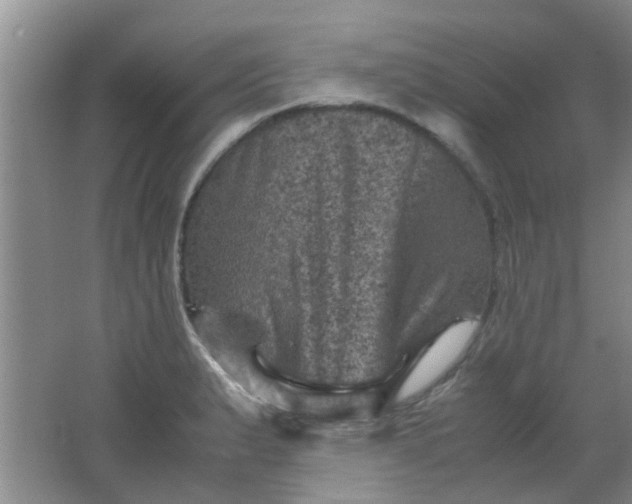 X0000062131183200512231430