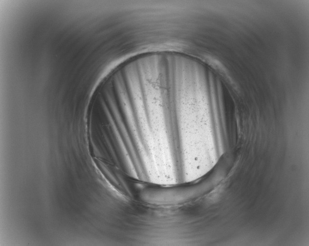 X0000062131184200512231430