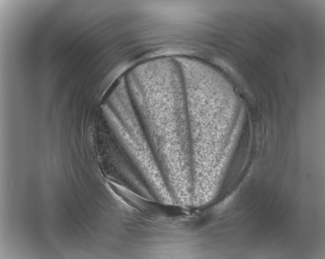 X0000062131185200512231430