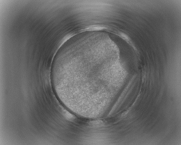 X0000062131186200512231430