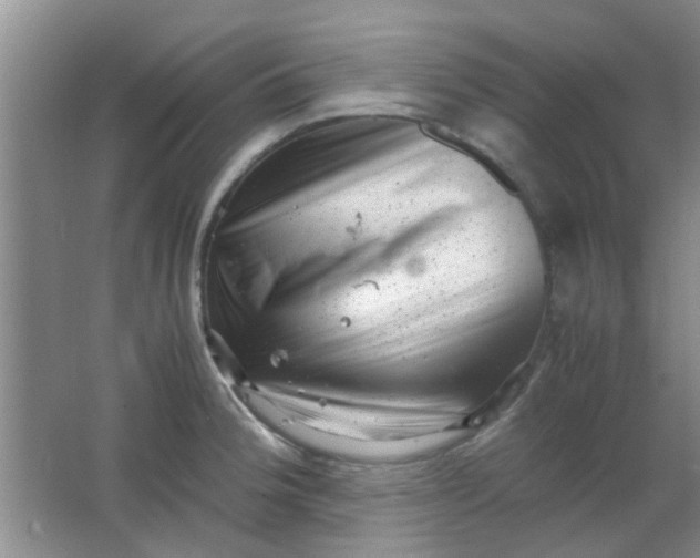 X0000062131188200512231429