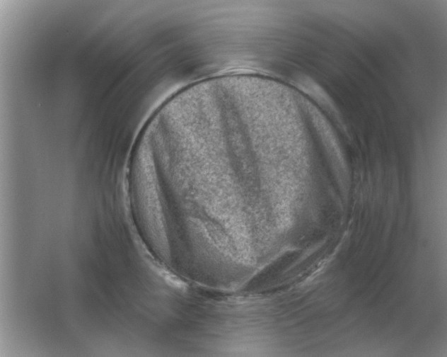 X0000062131190200512231429