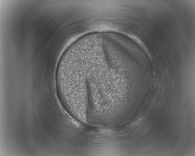 X0000062131191200512231429