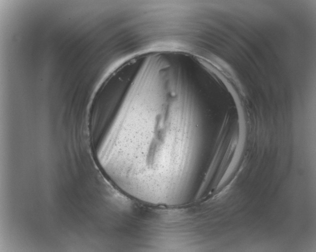 X0000062131192200512231429