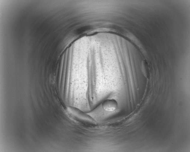 X0000062131193200512231429