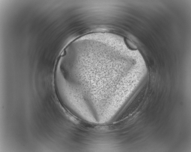 X0000062131194200512231429