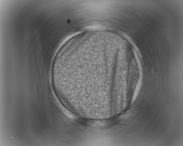 X0000062131195200512231429