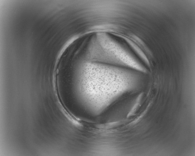 X0000062131196200512231429