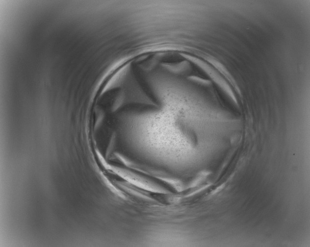 X0000062131197200512231429