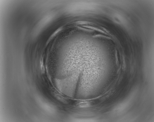 X0000062131198200512231429