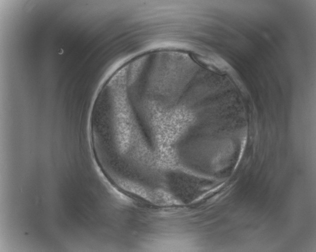 X0000062131199200512231429