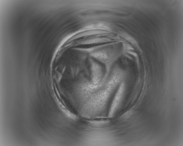 X0000062131200200512231429