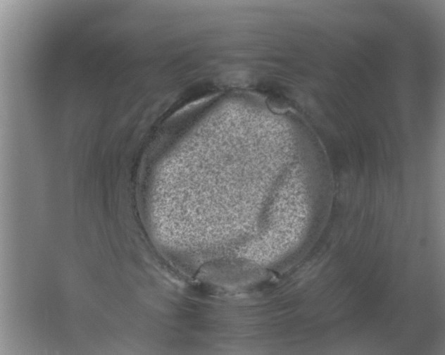 X0000062131201200512231428