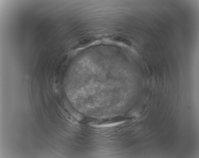 X0000062131202200512231428