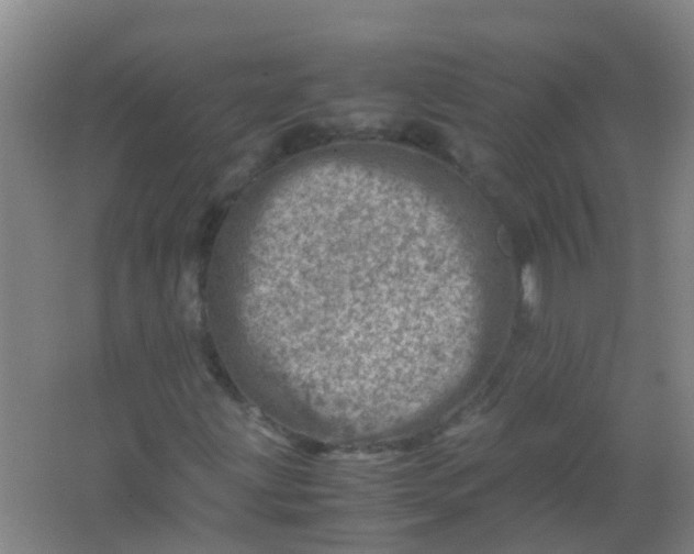 X0000062131203200512231428