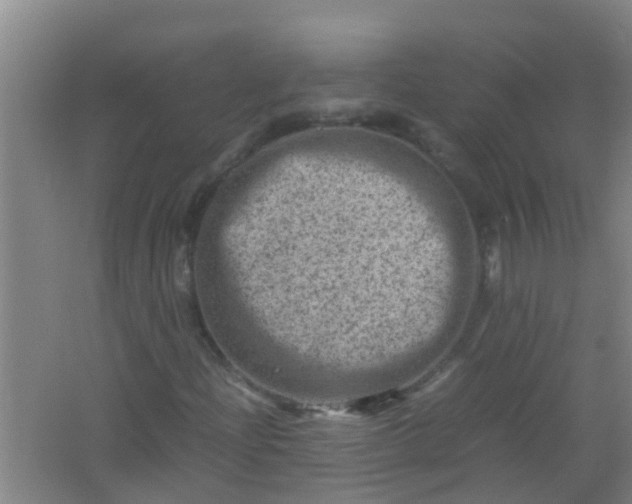 X0000062131204200512231428