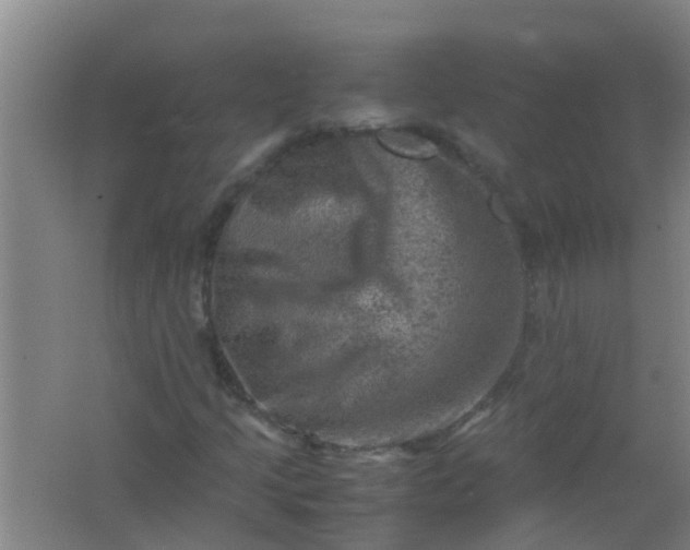 X0000062131205200512231428