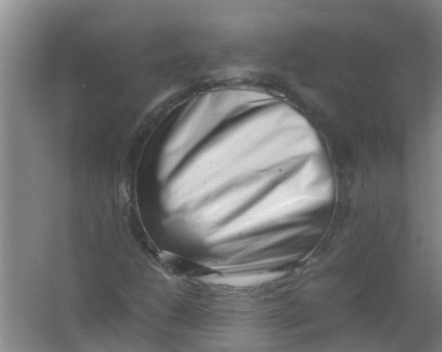 X0000062131206200512231429