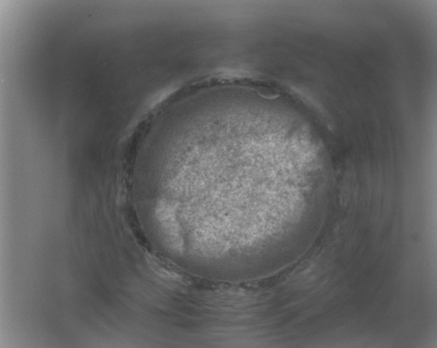 X0000062131207200512231429